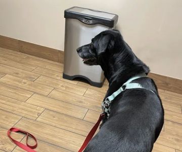 Chimney Hills Animal Hospital