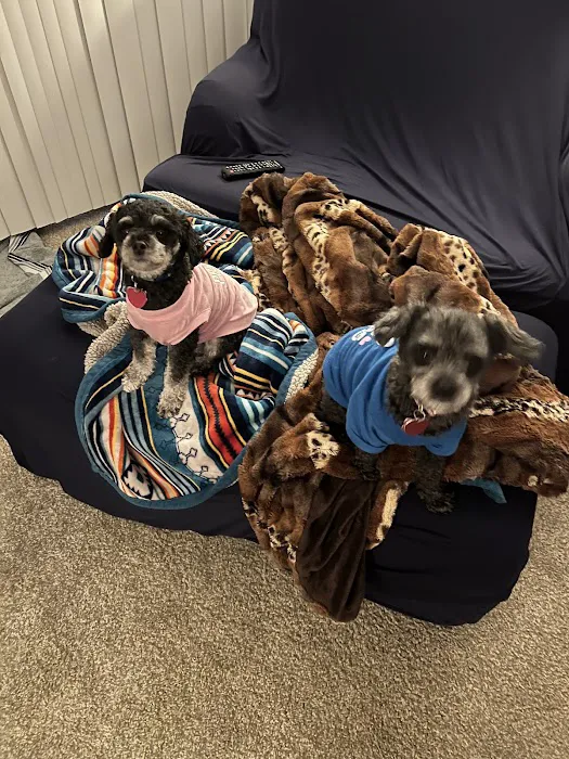 Chimney Hills Animal Hospital 8