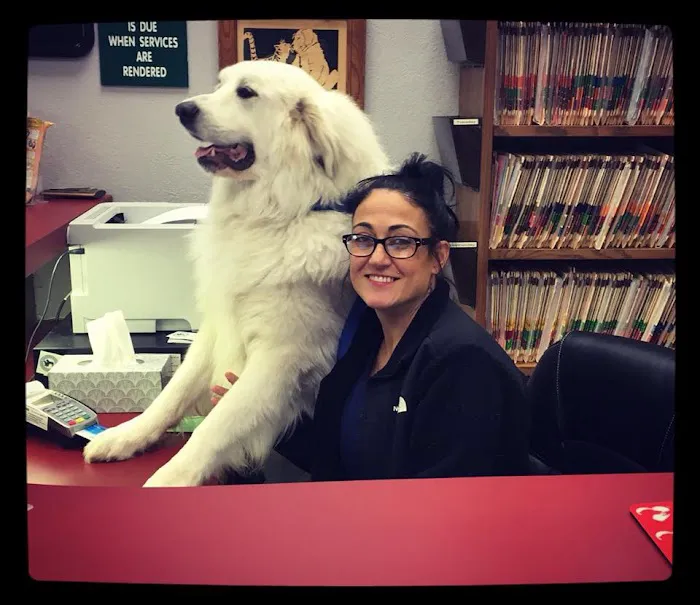 Hunters Glen Veterinary Hospital 7
