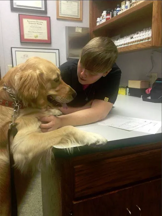 Hunters Glen Veterinary Hospital 10