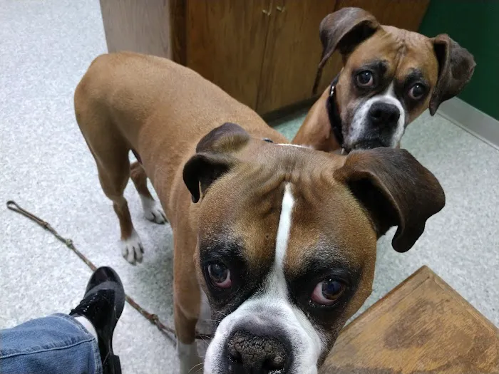 Hunters Glen Veterinary Hospital 6