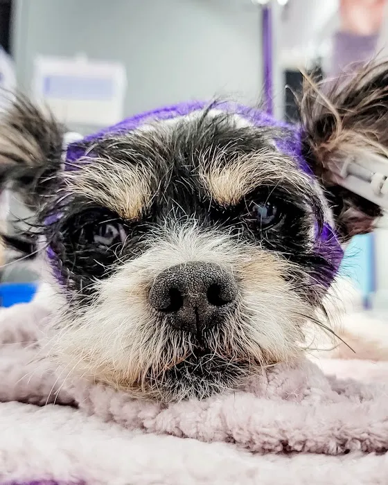 STATVet Animal Urgent Care at Riverside 5