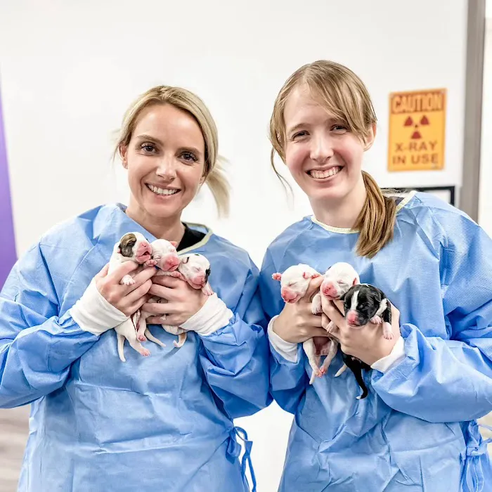 STATVet Animal Urgent Care at Riverside 6
