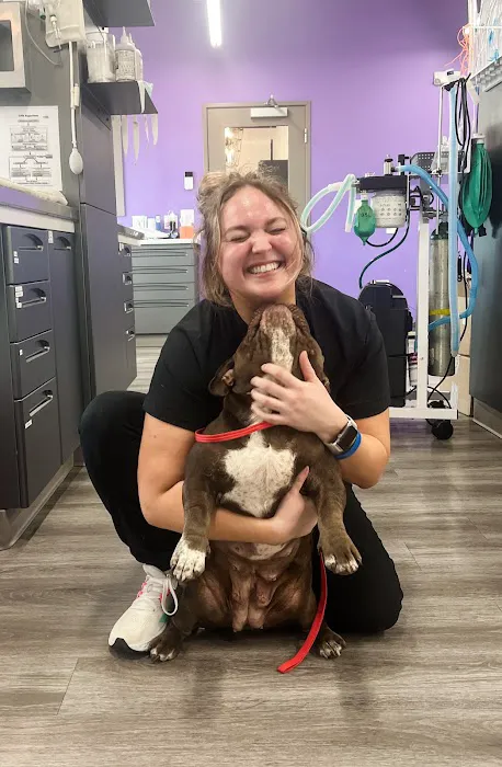 STATVet Animal Urgent Care at Riverside 2