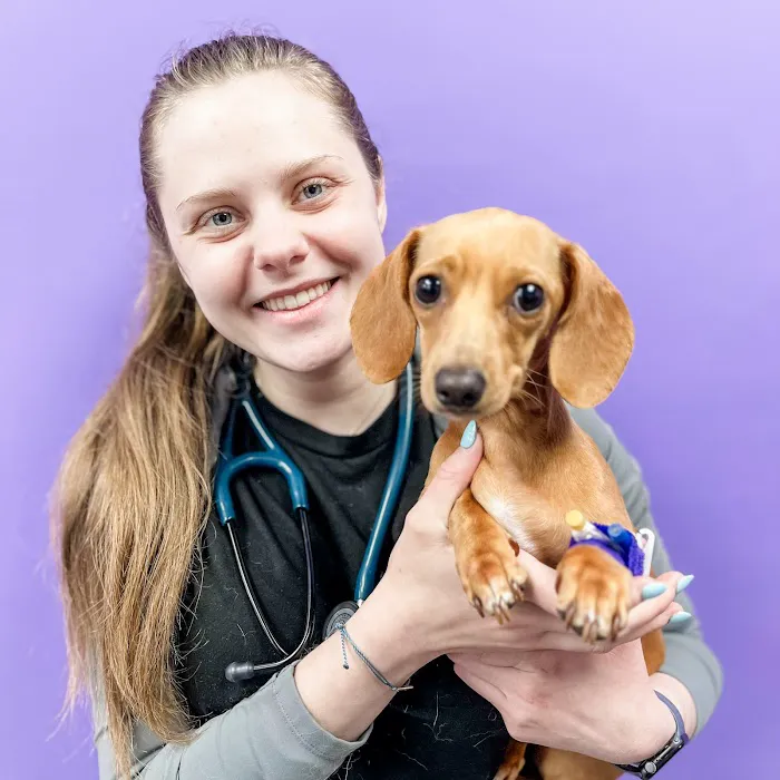 STATVet Animal Urgent Care at Riverside 9
