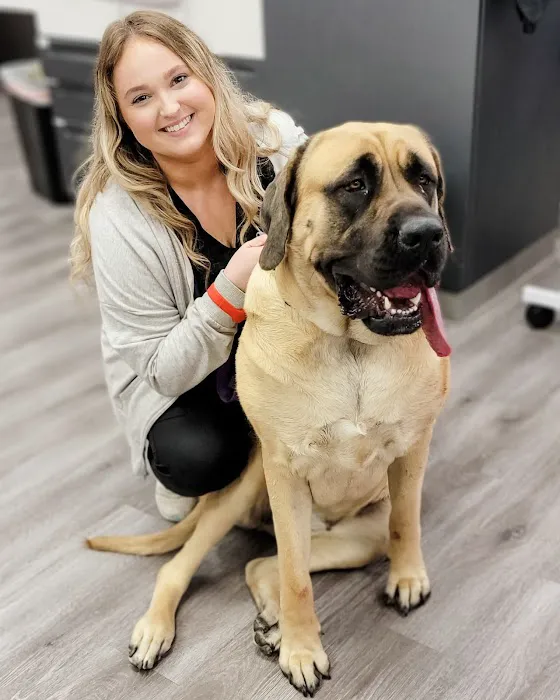 STATVet Animal Urgent Care at Riverside 3