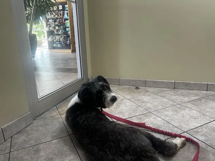 River Trail Animal Hospital and Pet Lodge 2