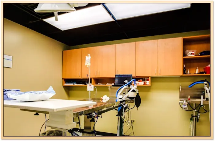 River Trail Animal Hospital and Pet Lodge 4