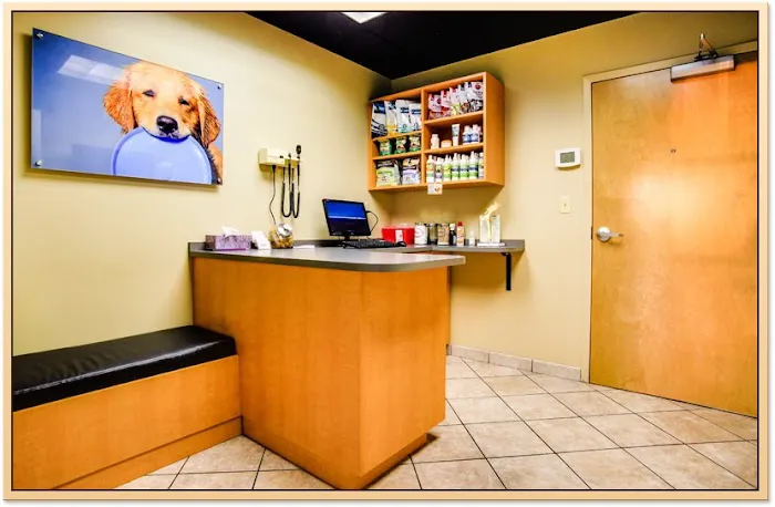 River Trail Animal Hospital and Pet Lodge 8