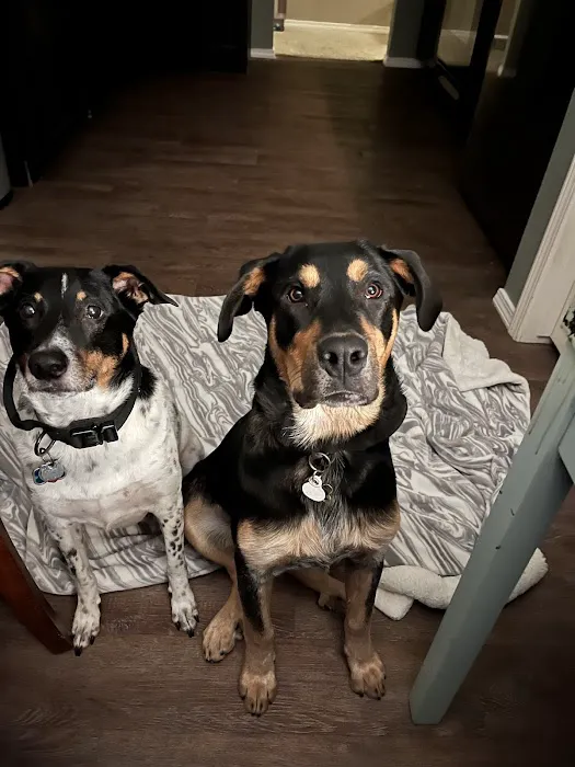 River Trail Animal Hospital and Pet Lodge 9