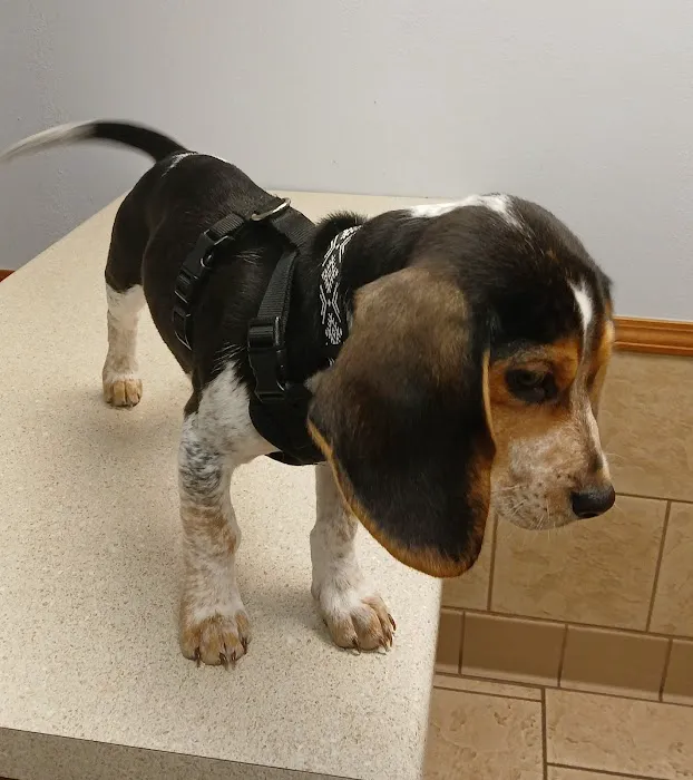 Southside Veterinary Clinic 9