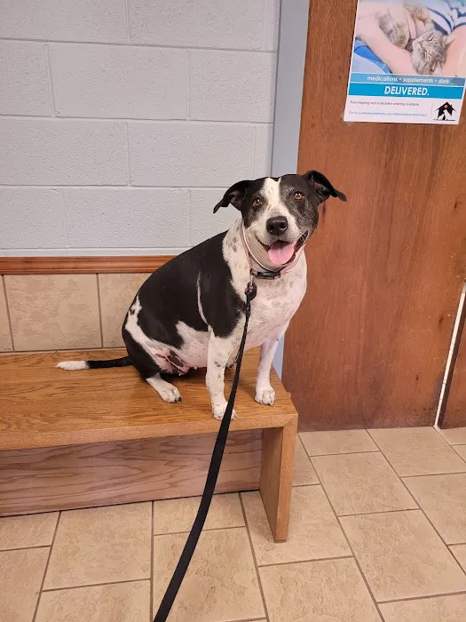Southside Veterinary Clinic 2