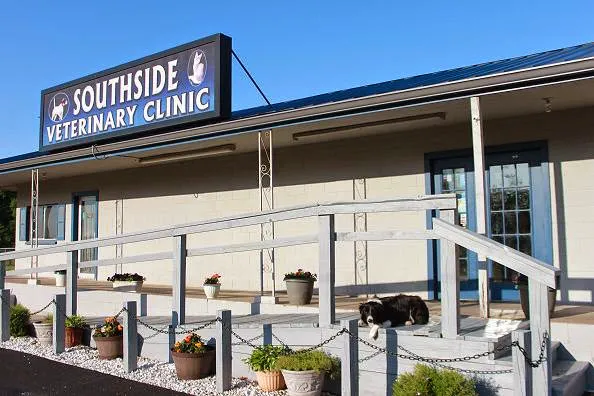 Southside Veterinary Clinic 1