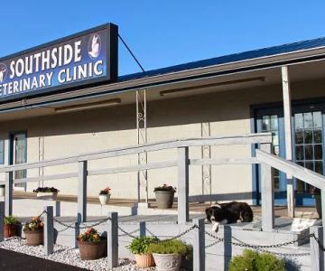 Southside Veterinary Clinic