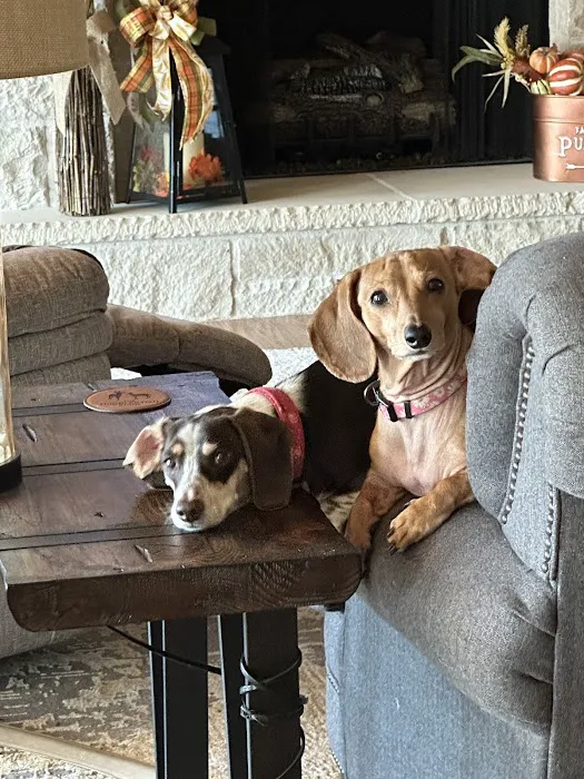 Southside Veterinary Clinic 5