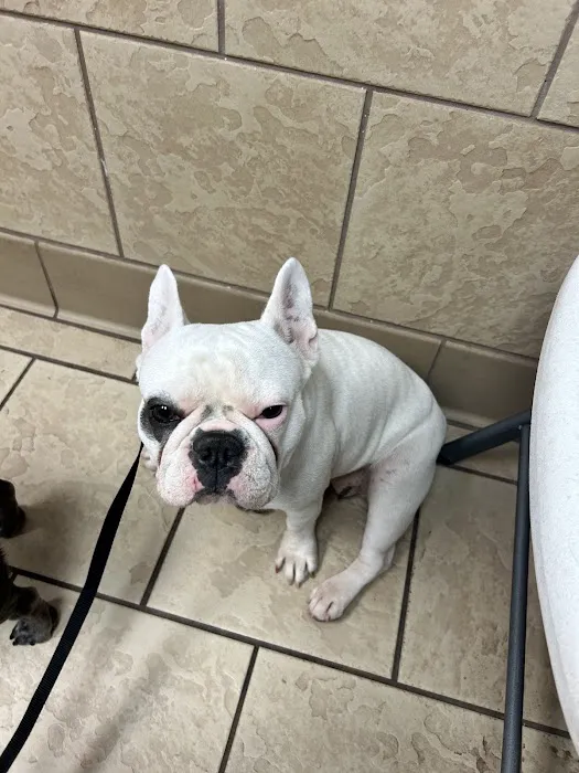 Southside Veterinary Clinic 8
