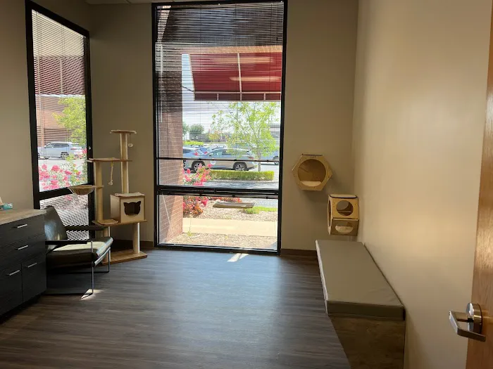 South Tulsa Veterinary Hospital 3