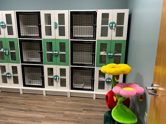 South Tulsa Veterinary Hospital 4