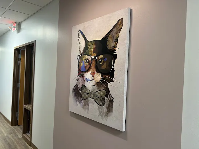 South Tulsa Veterinary Hospital 1