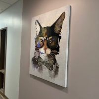 South Tulsa Veterinary Hospital ico