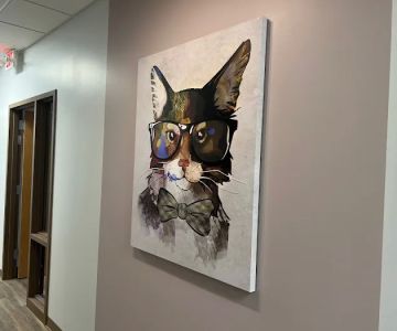 South Tulsa Veterinary Hospital