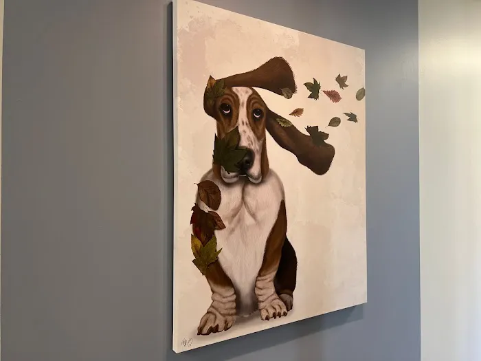 South Tulsa Veterinary Hospital 6