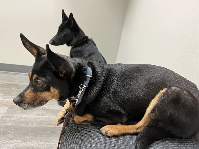 Good Shepherd Veterinary Hospital - Jenks 4