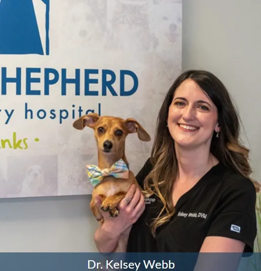 Good Shepherd Veterinary Hospital - Jenks 3