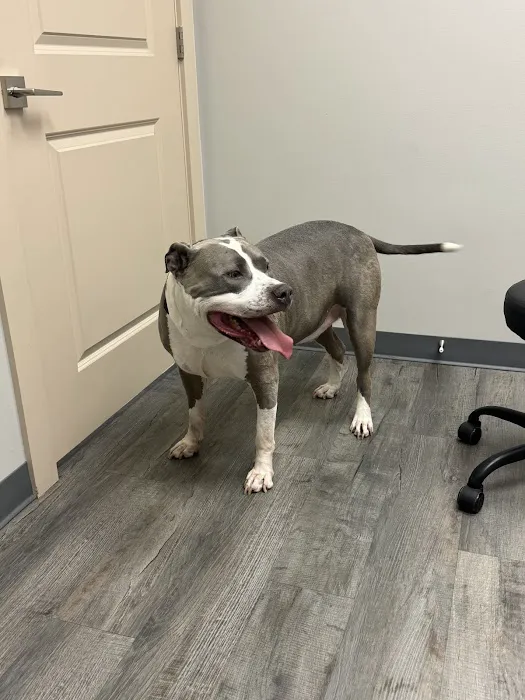 Good Shepherd Veterinary Hospital - Jenks 6