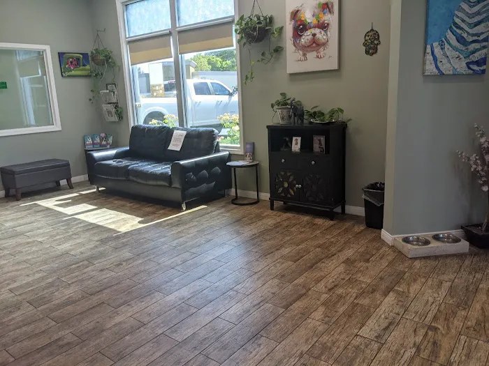 All Vet Care Animal Hospital and Rehabilitation 6