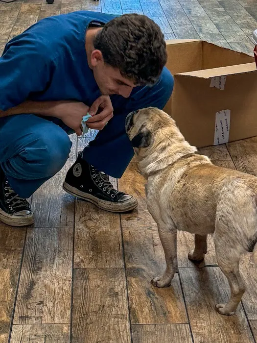 All Vet Care Animal Hospital and Rehabilitation 10