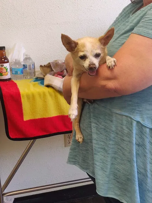 Somis Veterinary Hospital 3