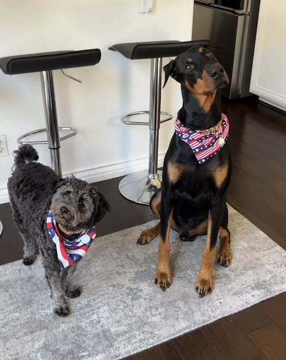 Dr. Battier's Veterinary Clinic 6