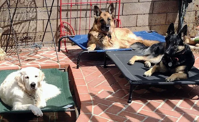 Camarillo Veterinary Hospital 7