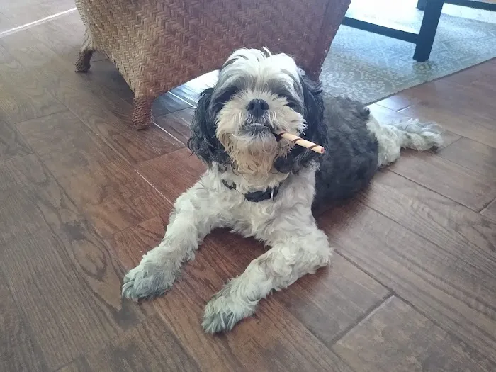 Camarillo Veterinary Hospital 5