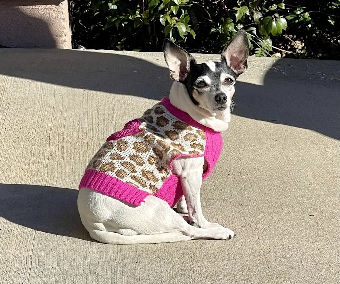 Camarillo Veterinary Hospital 9