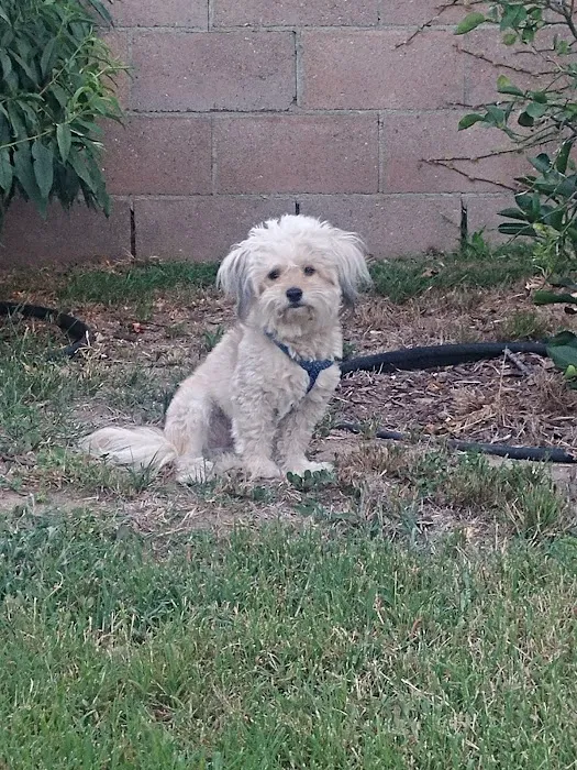 Pleasant Valley Animal Hospital 1