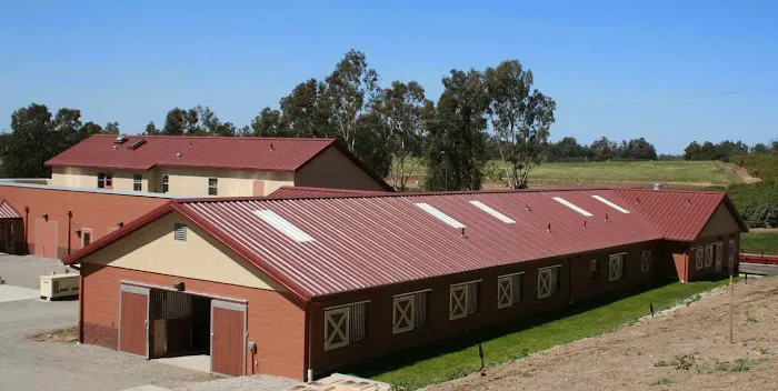 West Coast Equine 4