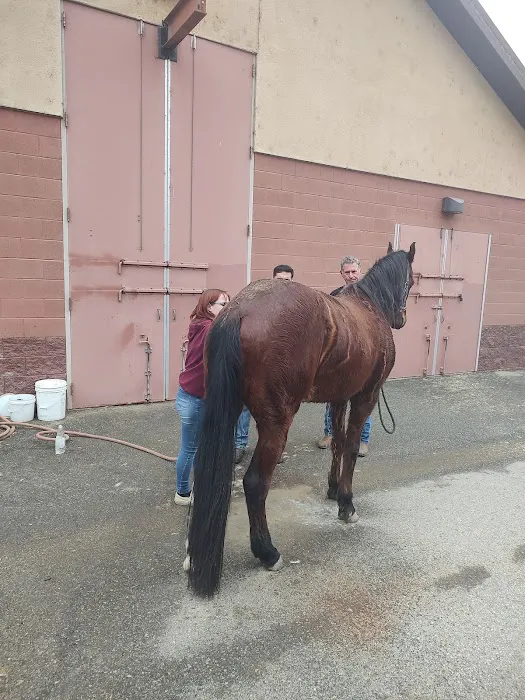 West Coast Equine 5