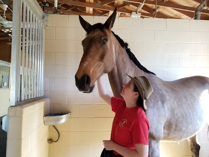 West Coast Equine 10