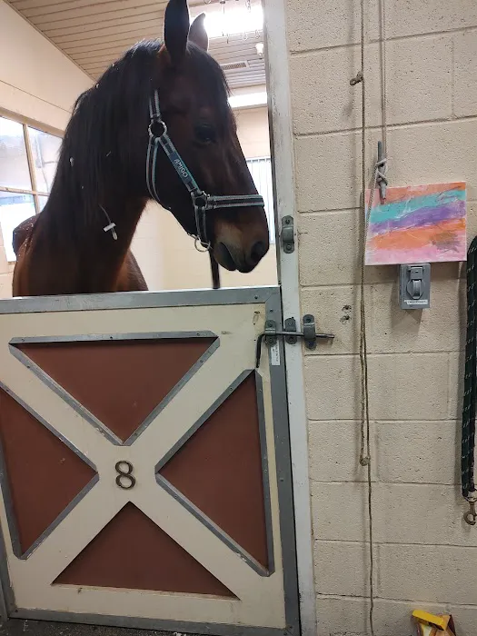 West Coast Equine 8