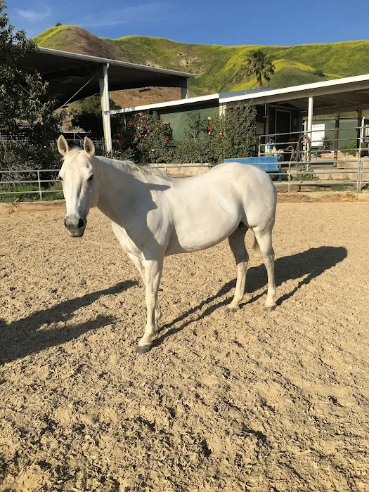 Humphrey Giacopuzzi & Associates Equine Hospital 3