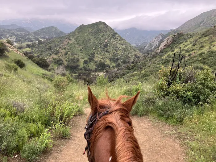 Humphrey Giacopuzzi & Associates Equine Hospital 2