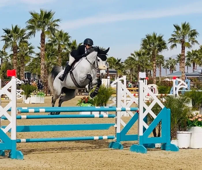 Progressive Equine 8