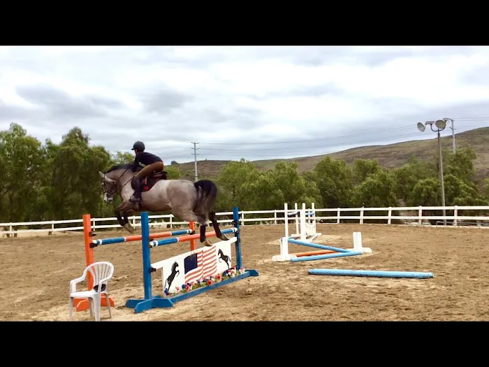 Progressive Equine 4