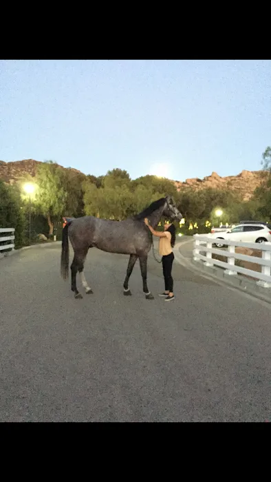 Progressive Equine 9