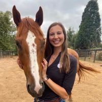 Progressive Equine ico