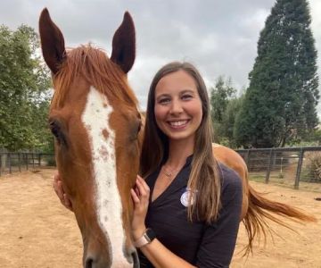 Progressive Equine