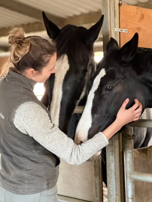 Progressive Equine 2