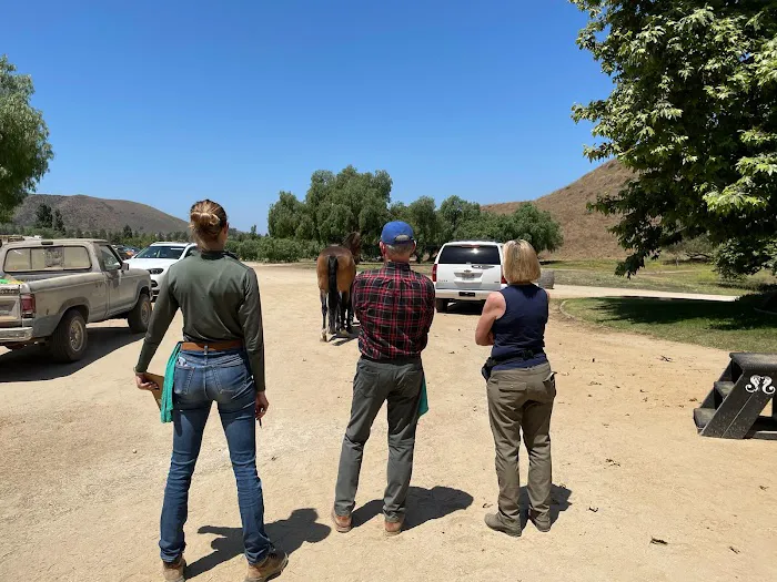 Progressive Equine 7